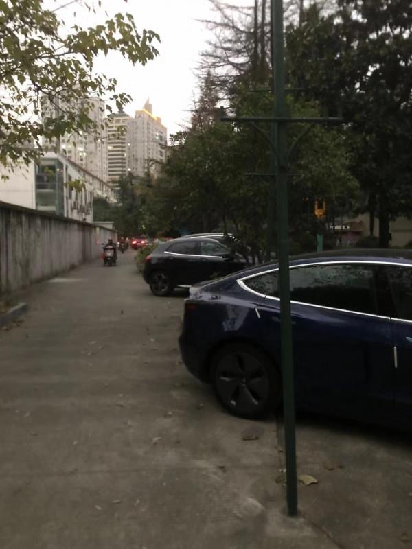 徐汇风骚少妇体验 第3张
